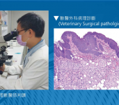 動物病理判讀報告